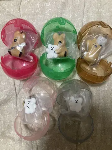 DINOTAENG 다이노텐 메지루시 액세서리 전 5종 컴플리트