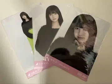 이케다 에이사 생사진 샤기 앙상블 컴프