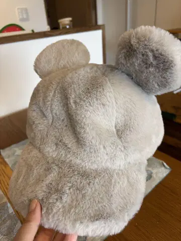 도쿄 디즈니 리조트 미키 팬캡
