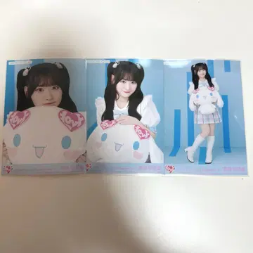 이코럽 사이토 쥬라 시나몬 롤 2025 브로마이드 컴프