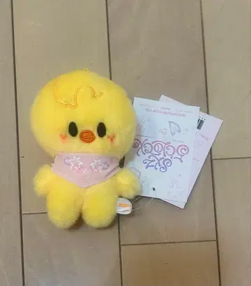 skzoo 5시 포가리 10cm