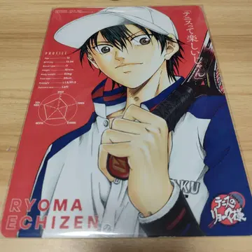 테니스의 왕자님 테니스의 료마님 비주얼 보드