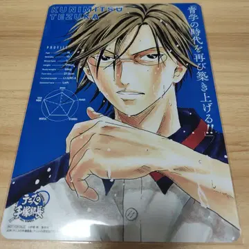 테니스의 왕자님 테니스의 테즈카 부장 비주얼 보드