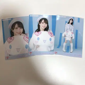 이코라브 사사키 마이카 시나몬 롤 2025 컴프