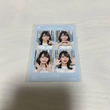 =LOVE 사사키 마이카 4cut photo