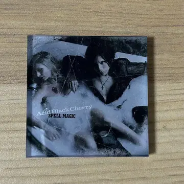 Acid BlackCherry 아크릴 마그넷 SPELL MAGIC