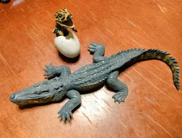 악어 피규어 약 15cm와 부화 유체
