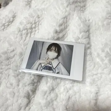 쿠루스 린 폴라로이드