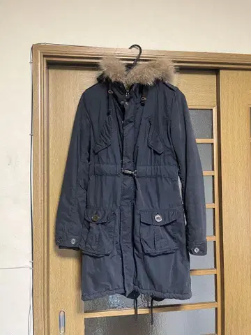 moussy