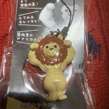 완성된 라이온 스트랩