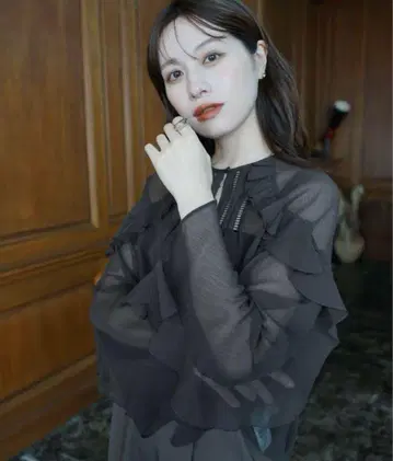 NOBLE laubeblanc 로브블랑 양류 프릴 사다리 블라우스