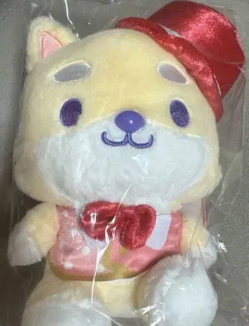 지오참 꾸미기 시리즈