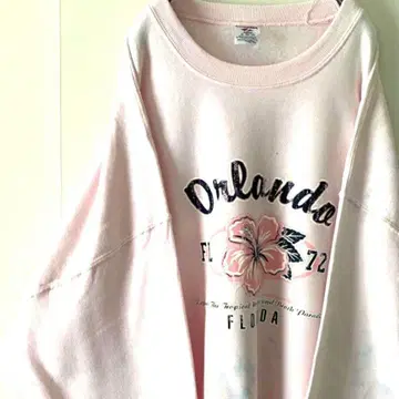 하이비스커스 플로리다 Orlando 맨투맨 2X 핑크 구제 의류