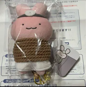 화이트 타이거와 블랙 타이거 도망치는 토끼 선생님 마스코트