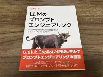 LLM의 프롬프트 엔지니어링 O'Reilly
