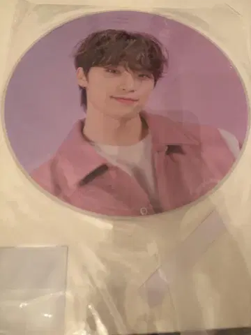 SEVENTEEN LOVE 부채 디노
