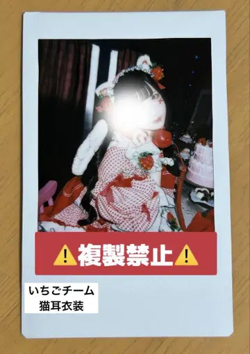 팀 딸기 신기루 아무 런 폴라로이드