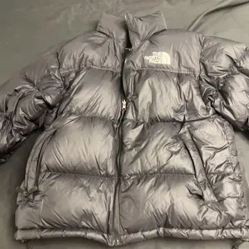THE NORTH FACE 눕시 L 사이즈