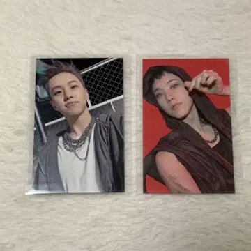 호시 HAPPY BURSTDAY 트레이딩 카드 TSUTAYA 혜택