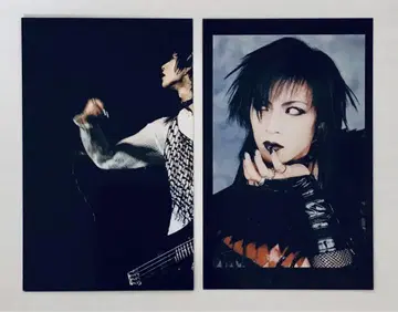 Dir en grey 트레이딩 카드 Toshiya
