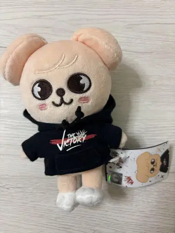 straykids 승민 PuppyM MINI PLUSH 봉제 인형