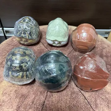 가챠가챠 덤보 벌레 거북이 500엔 가챠