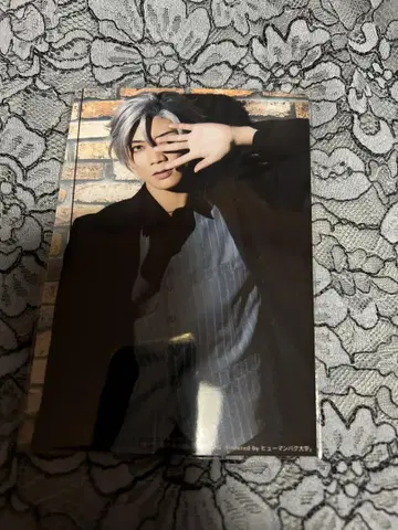 휴먼버그 대학 버그스테 나구모