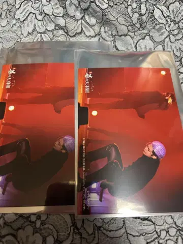 휴먼버그 대학 버그스테 고바야시
