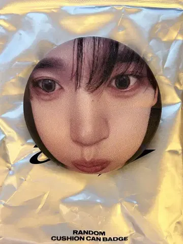 zerobaseone zb1 서울콘 쿠션 캔뱃지 한유진