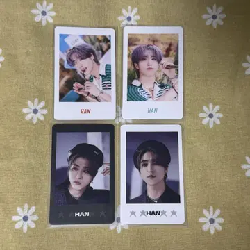 StrayKids 스키즈 한 지성