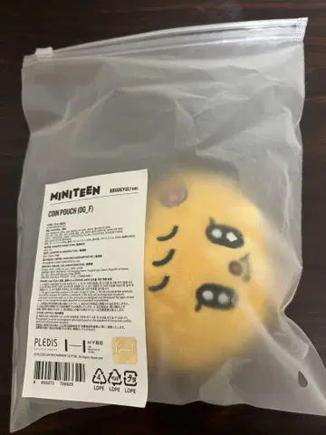 SEVENTEEN 승관 미니틴 코인 파우치 부귤이