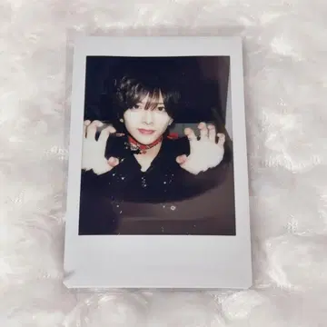 러브시크 사쿠라 핑 폴라로이드