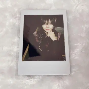 러브시크 사쿠라 핑 폴라로이드