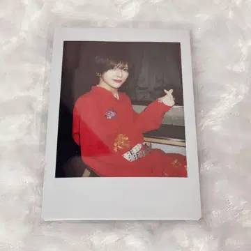 러브시크 사쿠라 핑 폴라로이드