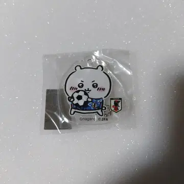 치이카와 축구 키링