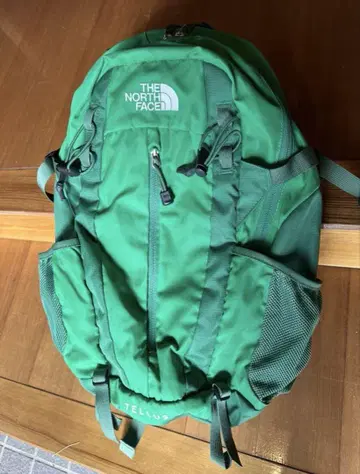THE NORTH FACE TELLUS 25 그린