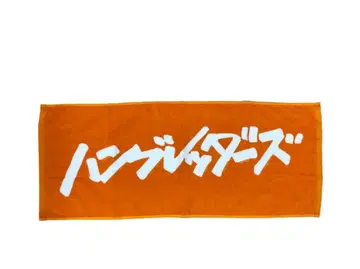 한브레 타월