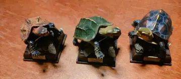 오키나와현의 거북이 피규어 3개 세트