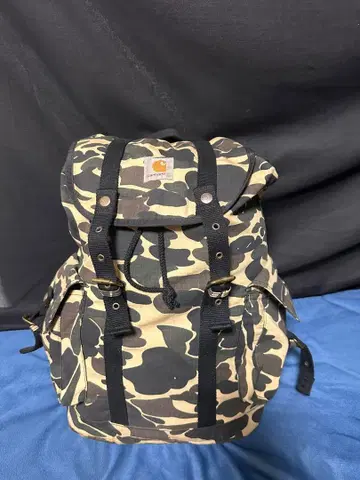 Carhartt 카모플라쥬 백팩