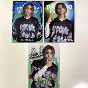 psychicfever WEESA HEAT TOUR 시크릿 사진 카세트