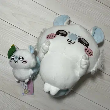 치이카와 (먼작귀) 모몽가 봉제 인형 묶음 판매