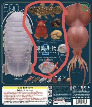심해 생물 2 마그넷 볼 체인 6세트