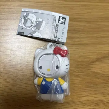 헬로키티 사진 프레임 마스코트