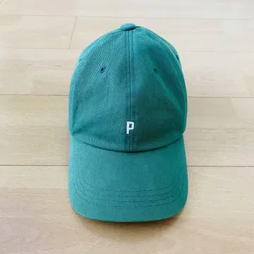 LEPSIM 캡 그린
