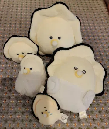 동글동글 수족관 생굴 세트