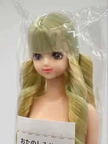사야카 리카짱 캐슬 오타노시미 인형 연한 그린 계열 제니 프렌드