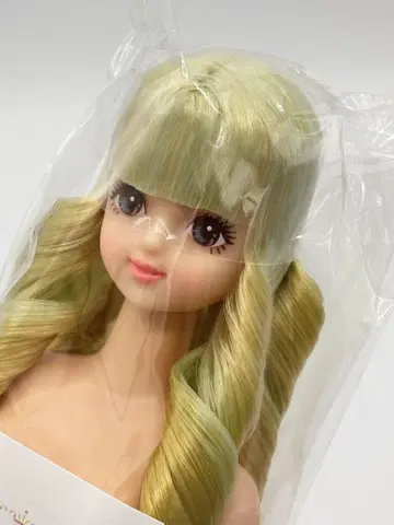 사야카 리카짱 캐슬 오타노시미 인형 연한 그린 계열 제니 프렌드