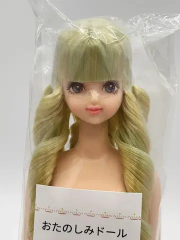 사야카 리카짱 캐슬 오타노시미 인형 연한 그린 계열 제니 프렌드