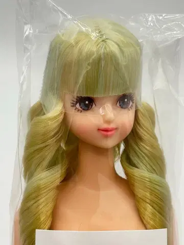 사야카 리카짱 캐슬 오타노시미 인형 연한 그린 계열 제니 프렌드