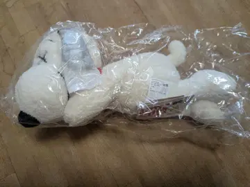 SNOOPY x KAWS